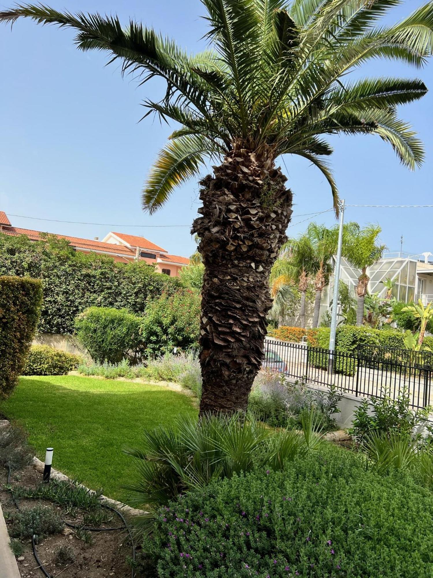 Appartamento Rocamar Avola Esterno foto